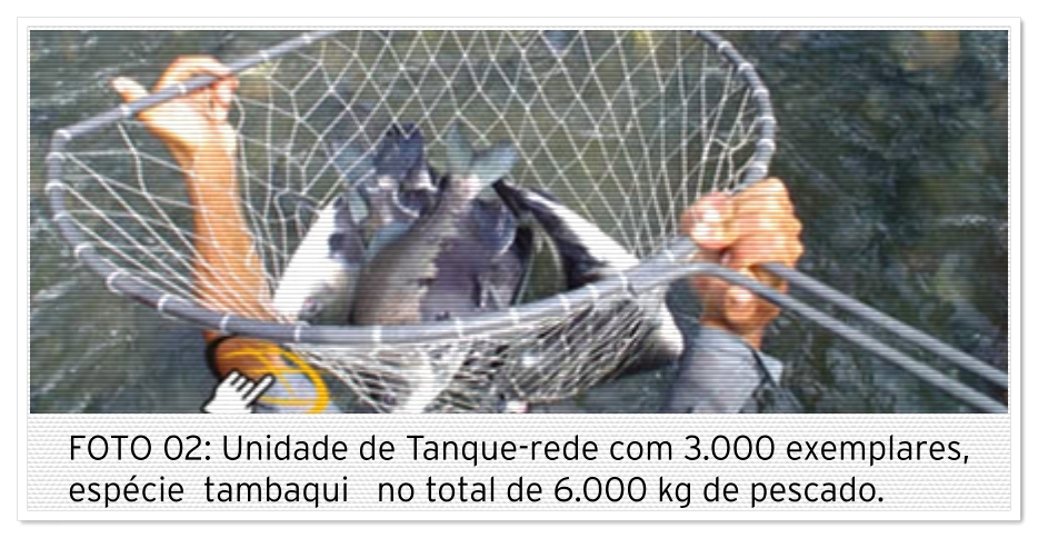 A trajetória acadêmica e profissional de Antônio de Almeida Sobrinho na área de pesca e meio ambiente - News Rondônia