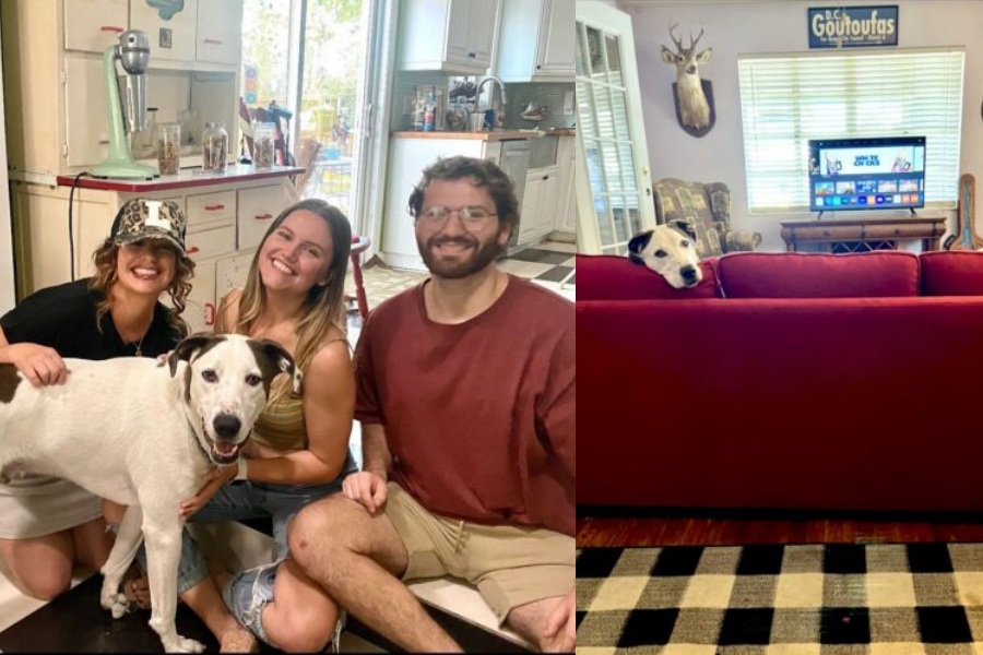 Cão surdo é abandonado e ganha novo tutor que é deficiente auditivo - News Rondônia