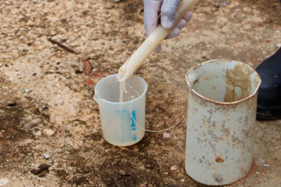 Tecnologia para tratamento de efluentes vai fortalecer agroindústrias de Rondônia - News Rondônia