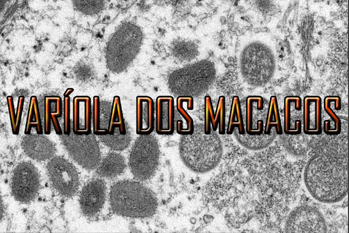 VÍRUS - Primeiro caso de varíola dos macacos é confirmado no Brasil - News Rondônia