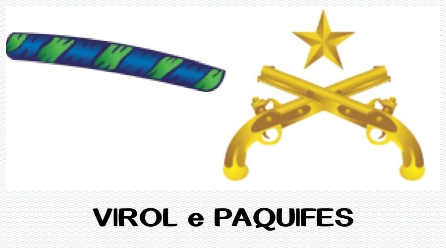 Curiosidade: Conheça o Brasão oficial das Armas da Casa Militar do Governo de Rondônia - News Rondônia