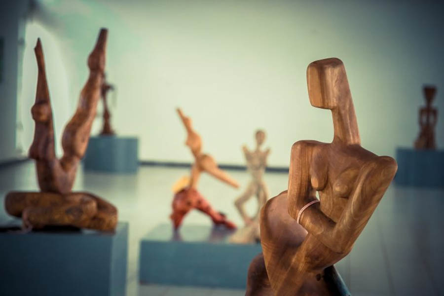 Exposições enaltecem as belezas de Rondônia na Casa da Cultura Ivan Marrocos - News Rondônia