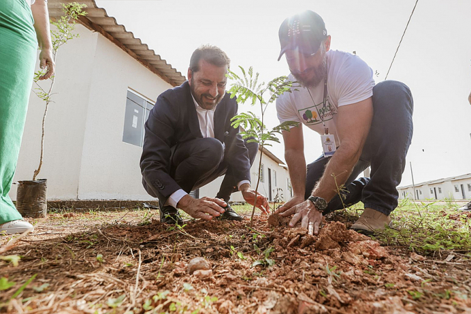 Em fase final das obras, residencial com 269 casas na zona Leste recebe plantio de árvores - News Rondônia