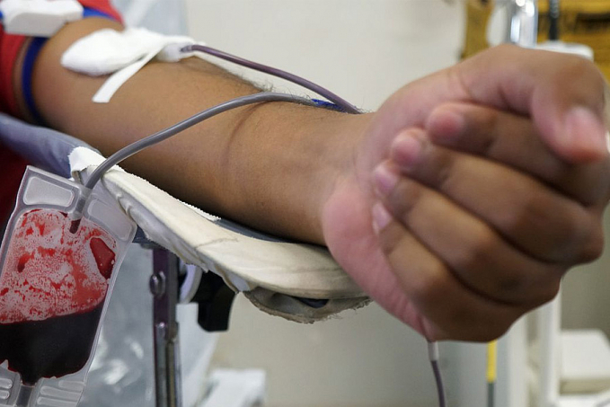 Hemocentros buscam fazer mutirão de doação de sangue - News Rondônia