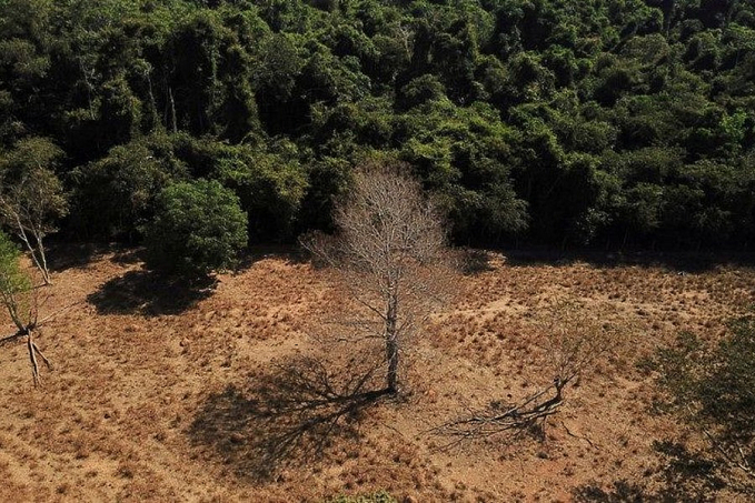 Um em cada 3 jovens não sabem o bioma em que vivem, aponta pesquisa - News Rondônia