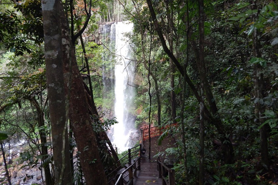 Decreto prevê implantação de Instâncias de Governança Regionais para desenvolvimento do Turismo, em Rondônia - News Rondônia