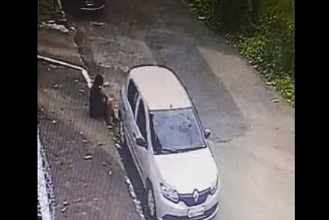VEJA VÍDEO: Travesti é filmada quebrando janela e carro e fazendo furto em Porto Velho - News Rondônia