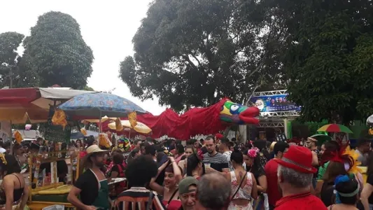 Bloco Pirarucu do Madeira é declarado Patrimônio Cultural Imaterial da capital - News Rondônia