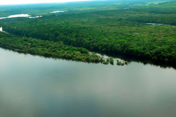 Apenas 7% dos rios da Mata Atlântica apresentam água de boa qualidade - News Rondônia