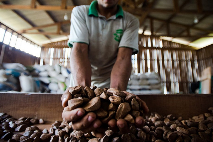 BNDES vai destinar R$ 2,5 milhões para bioeconomia na Amazônia - News Rondônia