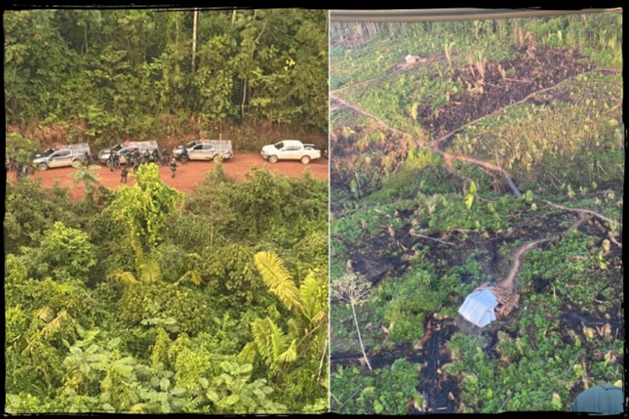 Ação das policias de Rondônia mira crimes ambientais e exploração de recursos no Parque Estadual Guajará-Mirim; advogado é apontado como cabeça da organização - News Rondônia