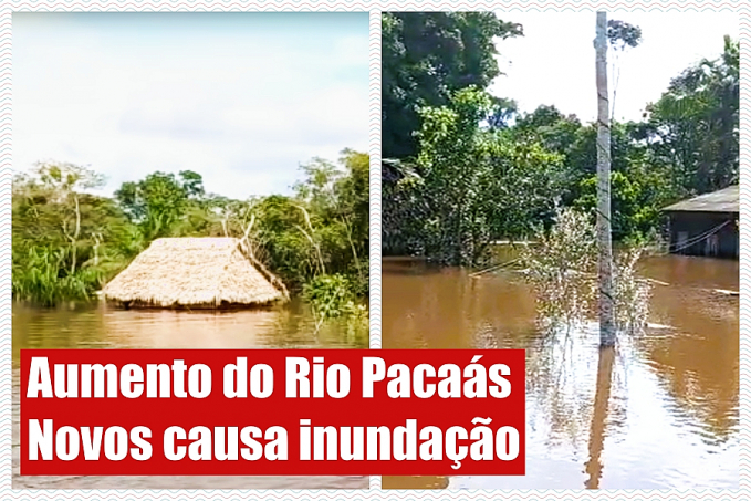 Aumento do Rio Pacaás Novos causa inundação na aldeia do povo Oro Win - News Rondônia