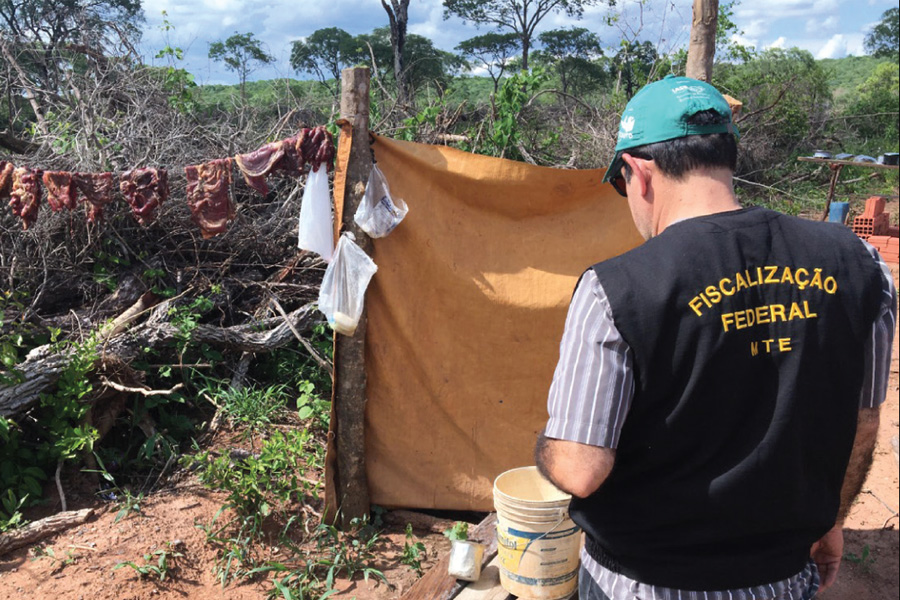 Trabalho escravo: 2.575 pessoas foram resgatadas em 2022 - News Rondônia