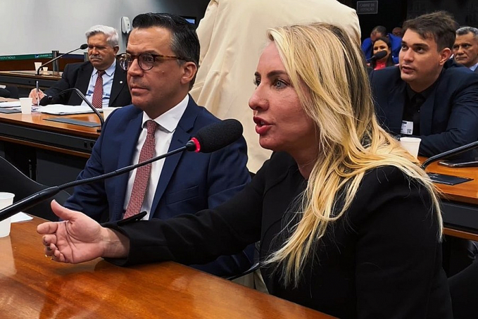 Ieda Chaves vai à Câmara Federal e cobra ponte binacional entre Rondônia e Bolívia - News Rondônia