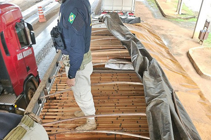Em Rondônia, PRF apreende quase 100 metros cúbicos de madeiras - News Rondônia