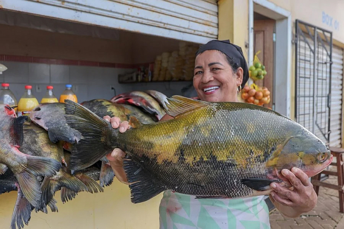 SEMANA SANTA: Mercados populares e feiras livres oferecem peixe a preços mais em conta aos consumidores - News Rondônia