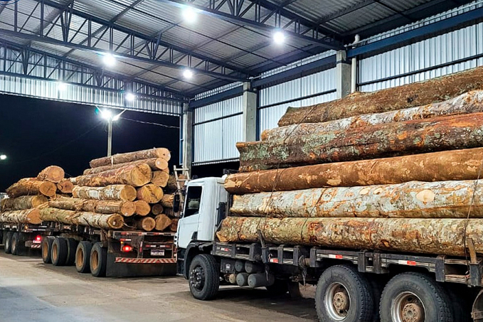 Em Ariquemes, PRF identifica transportes irregulares de madeira - News Rondônia
