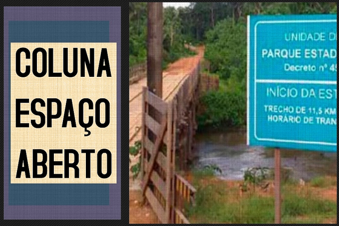 COLUNA ESPAÇO ABERTO: MP quer dissolução de associações suspeitas de invasões ao Parque Estadual de Guajará - News Rondônia