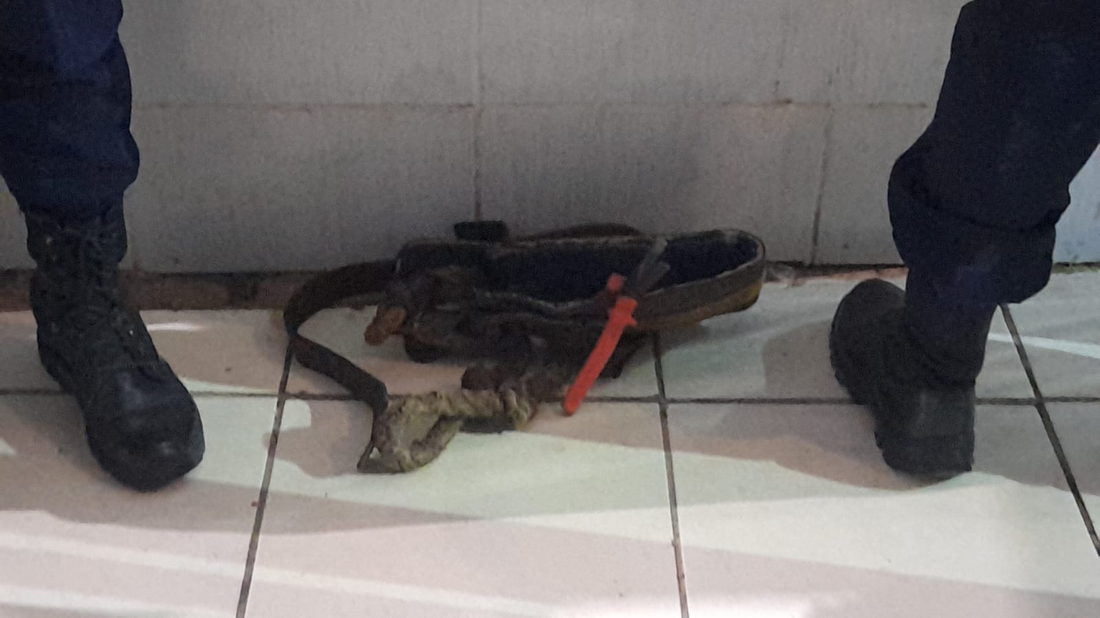 Dono de motel e mais dois são presos por furto de energia na zona sul - News Rondônia