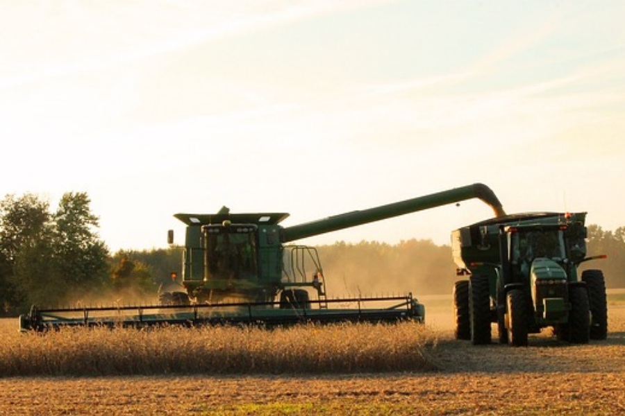 Ipea, Conab e Cepea apontam desaceleração nos preços dos principais produtos agropecuários brasileiros - News Rondônia