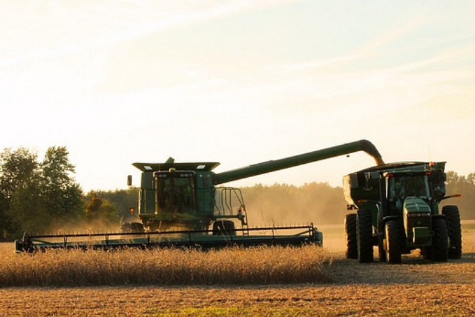 Ipea, Conab e Cepea apontam desaceleração nos preços dos principais produtos agropecuários brasileiros - News Rondônia