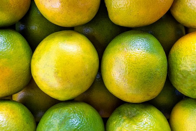 Novos preços mínimos da laranja in natura e do café são publicados no Diário Oficial da União - News Rondônia