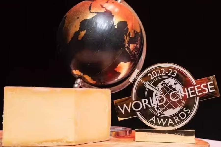 Queijos brasileiros conquistam 15 medalhas em concurso internacional - News Rondônia