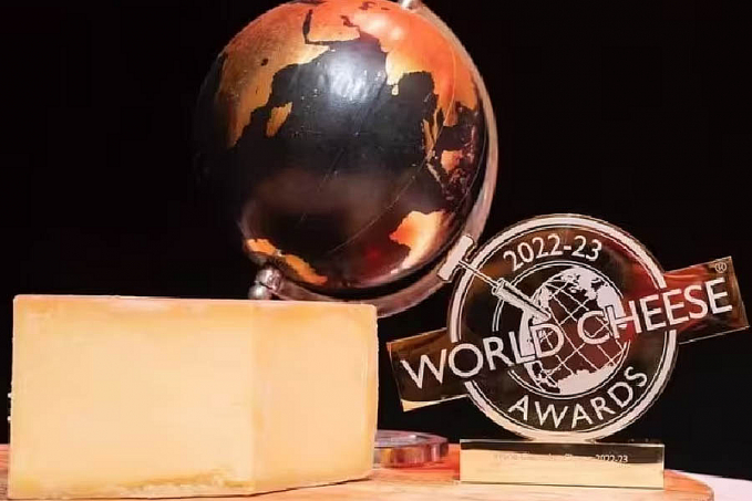 Queijos brasileiros conquistam 15 medalhas em concurso internacional - News Rondônia