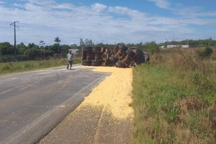 Carregado de milho, última composição de bi-trem tomba na BR-364, próximo ao rio Piracolino, em Vilhena - News Rondônia