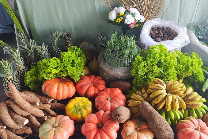 Edital do Programa de Aquisição de Alimentos prevê investimentos para Agricultura Familiar, em Rondônia - News Rondônia