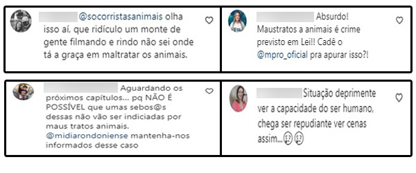 NA CAVALGADA: Ex-BBB de Rondônia monta em cavalo que estava exausto e recebe críticas - News Rondônia