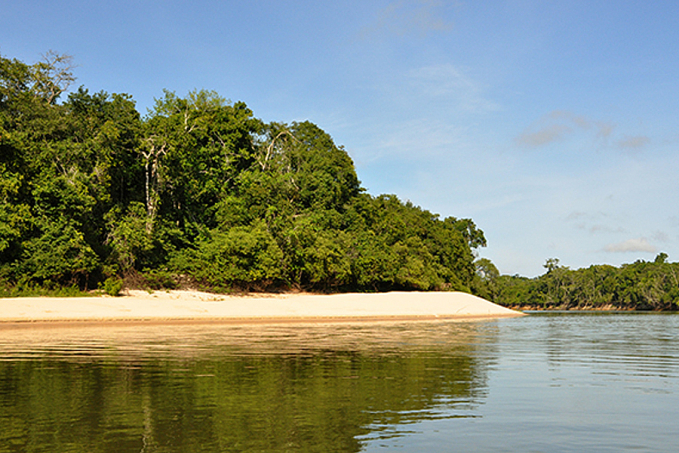 Rondônia apresentará ações de fomento à economia verde na COP-27; desenvolvimento e sustentabilidade - News Rondônia