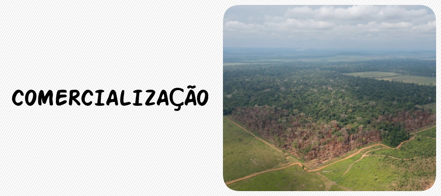 COLUNA ESPAÇO ABERTO: Polícia vai para cima de invasores de terra em áreas de conservação - News Rondônia