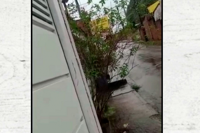 Acreana contrata carro de som para mandar recado a vizinha - News Rondônia