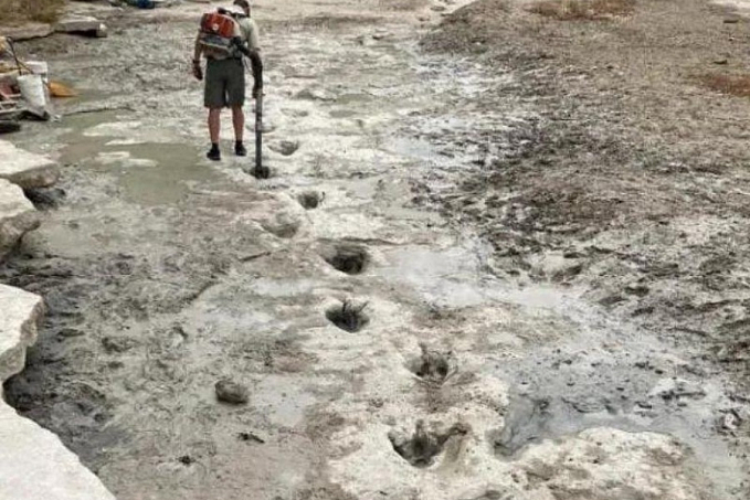 Rio seco revela pegadas de dinossauros de 113 milhões de anos - News Rondônia