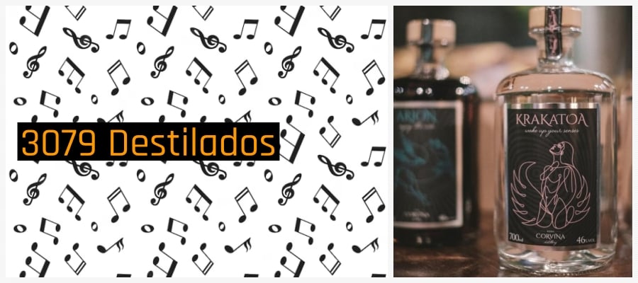 Agenda News: Música ao vivo para aproveitar o final de semana, por Renata Camurça - News Rondônia
