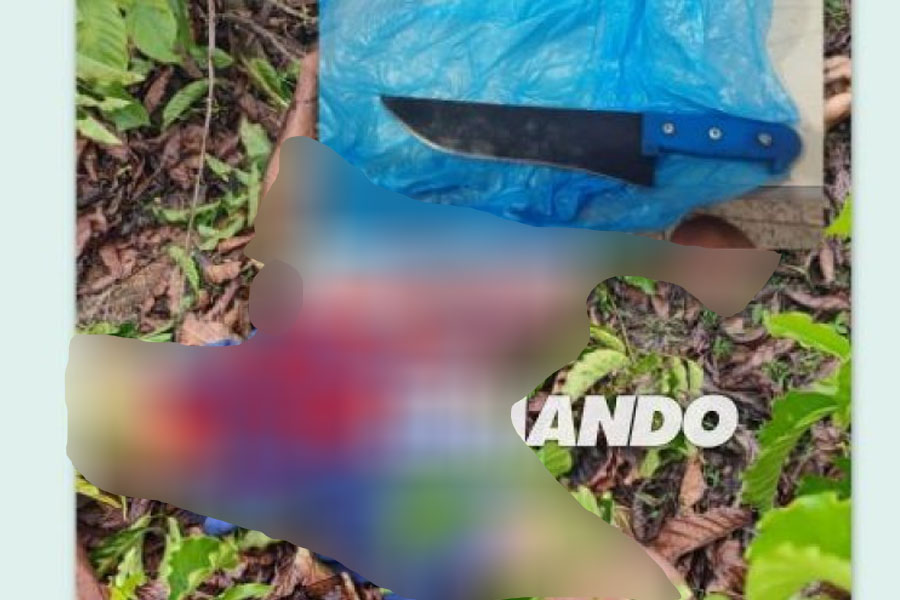 Após desentendimento, homem mata a facadas companheiro de serviço em São Francisco do Guaporé/RO. - News Rondônia