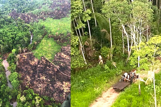 MPRO, em conjunto com o governo de Rondônia, recorre de decisão judicial que suspendeu desocupação do Parque Estadual Guajará-Mirim - News Rondônia