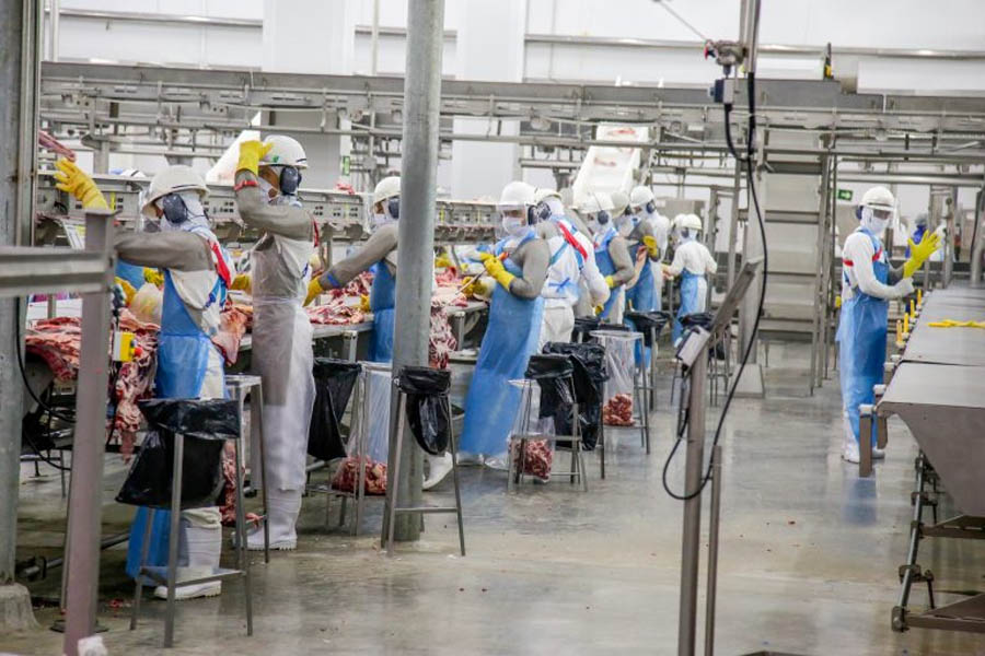 Com modernização do Sine Estadual, população pode se candidatar a vagas de emprego de forma presencial e online - News Rondônia