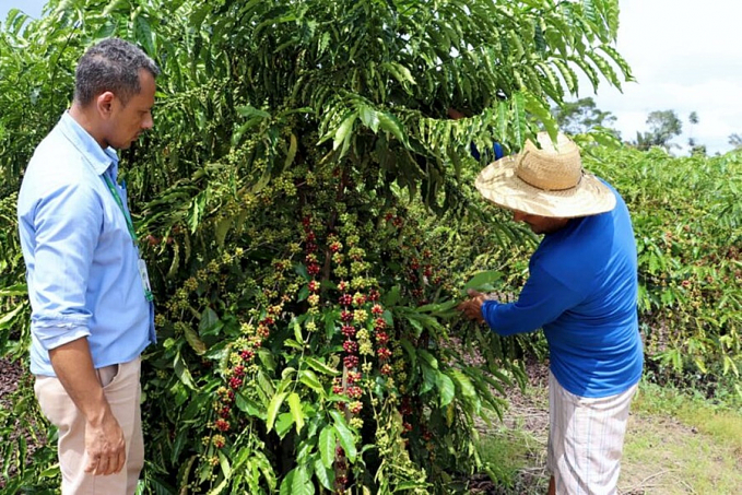 Cafeicultores serão beneficiados com construção de local para armazenagem de agroquímicos - News Rondônia