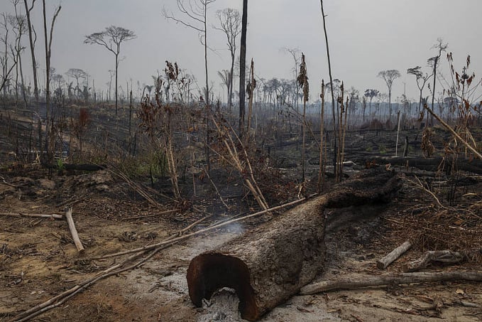 Amazônia tem recorde de desmate em abril, com mais 1.000 km2 derrubados - News Rondônia