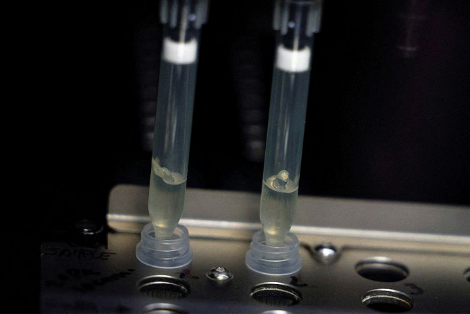 Laboratório da Fiocruz será referência em varíola dos macacos - News Rondônia
