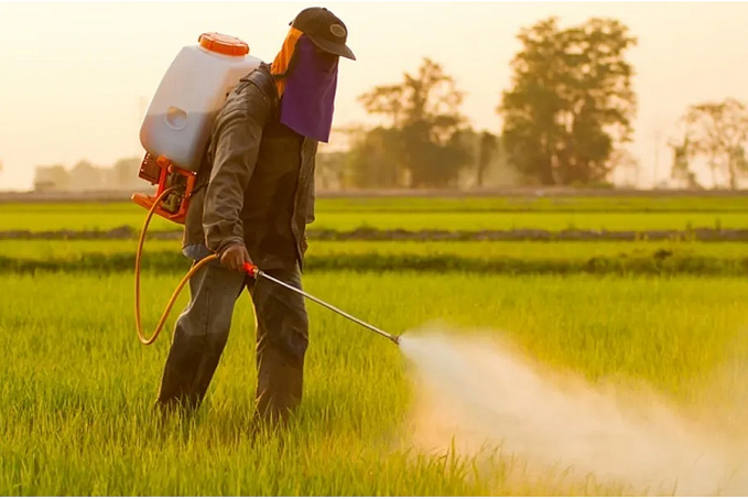 Deputados aprovam projeto sobre uso, armazenamento e destino final de agrotóxicos - News Rondônia