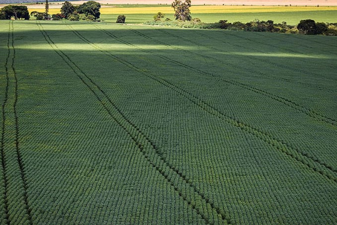 Estudo aponta desafios do seguro rural em meio a mudanças climáticas - News Rondônia