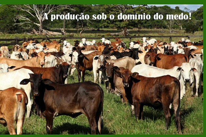 Um convite com o nome do IBAMA, sem timbre, sem lenço e sem documento, assusta produtores e madeireiros da ponta do Abunã - News Rondônia