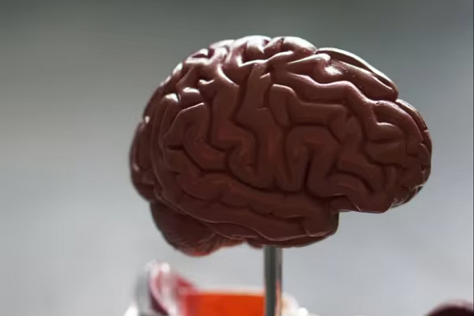 Depressão: pacientes podem ter a atividade cerebral religada em semanas - News Rondônia
