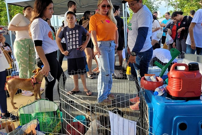 Ieda Chaves participa de Feira de Adoção Responsável de cães e gatos em Porto Velho - News Rondônia