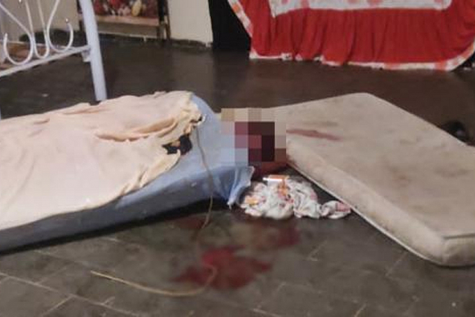 Mulher mata catador a marteladas e comemora em vídeo: 'Essa é uma vítima minha' - News Rondônia