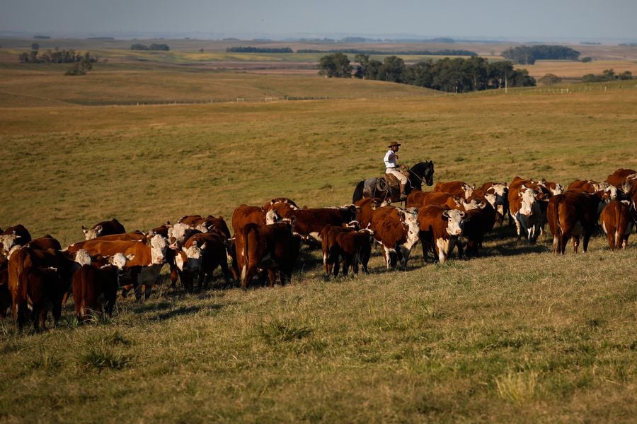 Produto Interno Bruto cresce 2,5% em fevereiro - News Rondônia