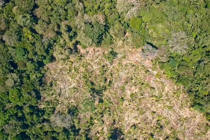 Terra indígena Uru-Eu-Wau-Wau deve fazer parte de um Plano de Proteção; pedido é do MPF e foi cumprido pela Justiça Federal - News Rondônia